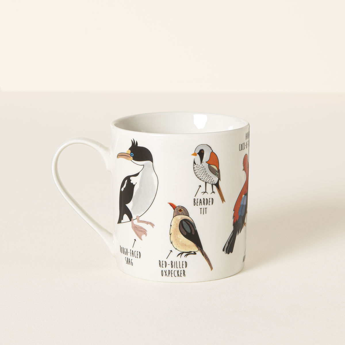 21 Best Gifts for Bird Lovers in 2023 Birdwatcher Gift Ideas