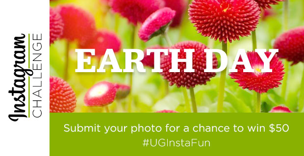 Instagram Challenge: EARTH DAY -The Goods