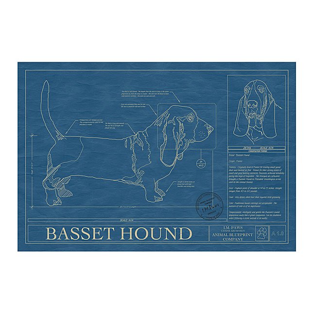 COLLIE Blueprint, Dog Art, Mid-Century Art, Dog Lover Gift, Museum Quality Print, 2024 Unique Gift, Personalization Available