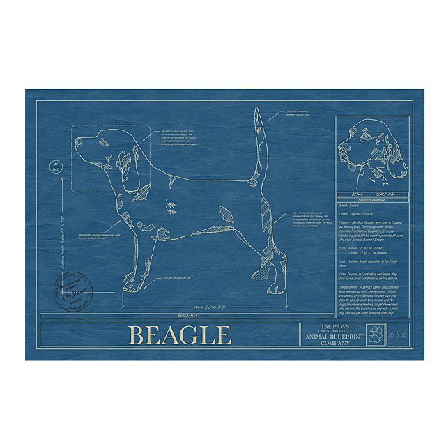 BLOOD HOUND outlet Blueprint, Dog Art, Mid-Century Art, Dog Lover Gift, Museum Quality Print, Unique Gift, Personalization Available