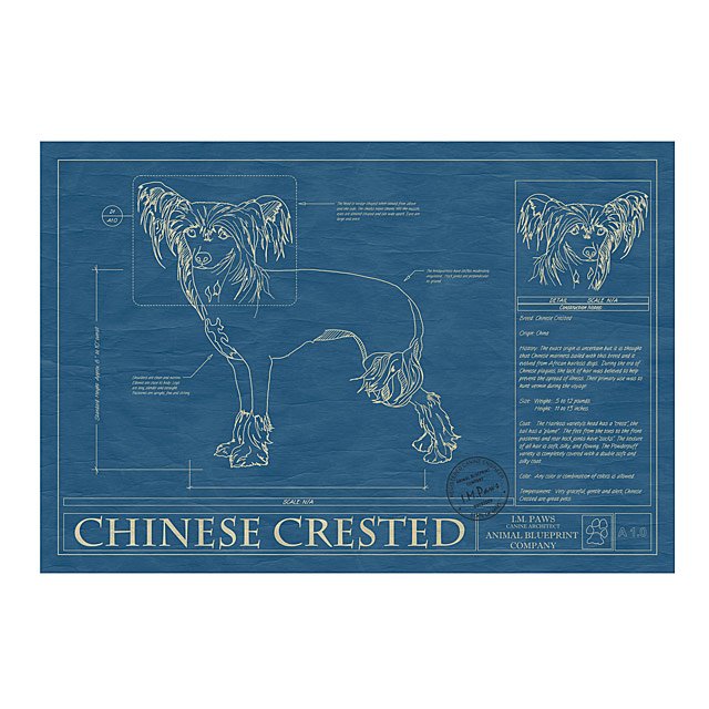 COLLIE Blueprint, Dog Art, Mid-Century Art, Dog Lover Gift, Museum Quality Print, 2024 Unique Gift, Personalization Available