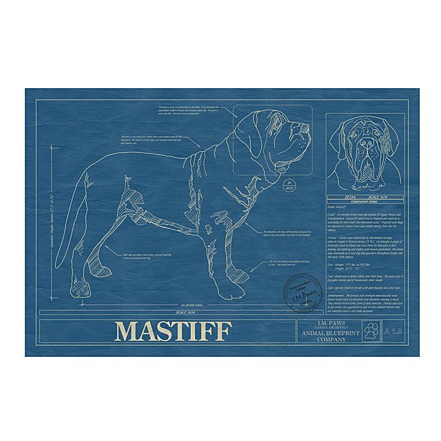 MASTIFF Blueprint, Dog Art, Mid-Century Art, Dog Lover Gift, Museum Quality Print, Unique Gift, store Personalization Available