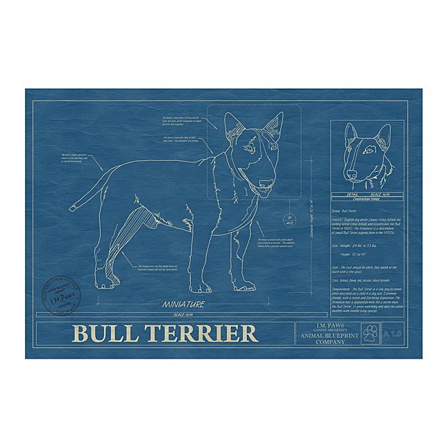 BLOOD HOUND Blueprint, Dog Art, Mid-Century Art, newest Dog Lover Gift, Museum Quality Print, Unique Gift, Personalization Available