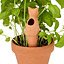 Weekend Plant Feeders | garden tool, watering | UncommonGoods