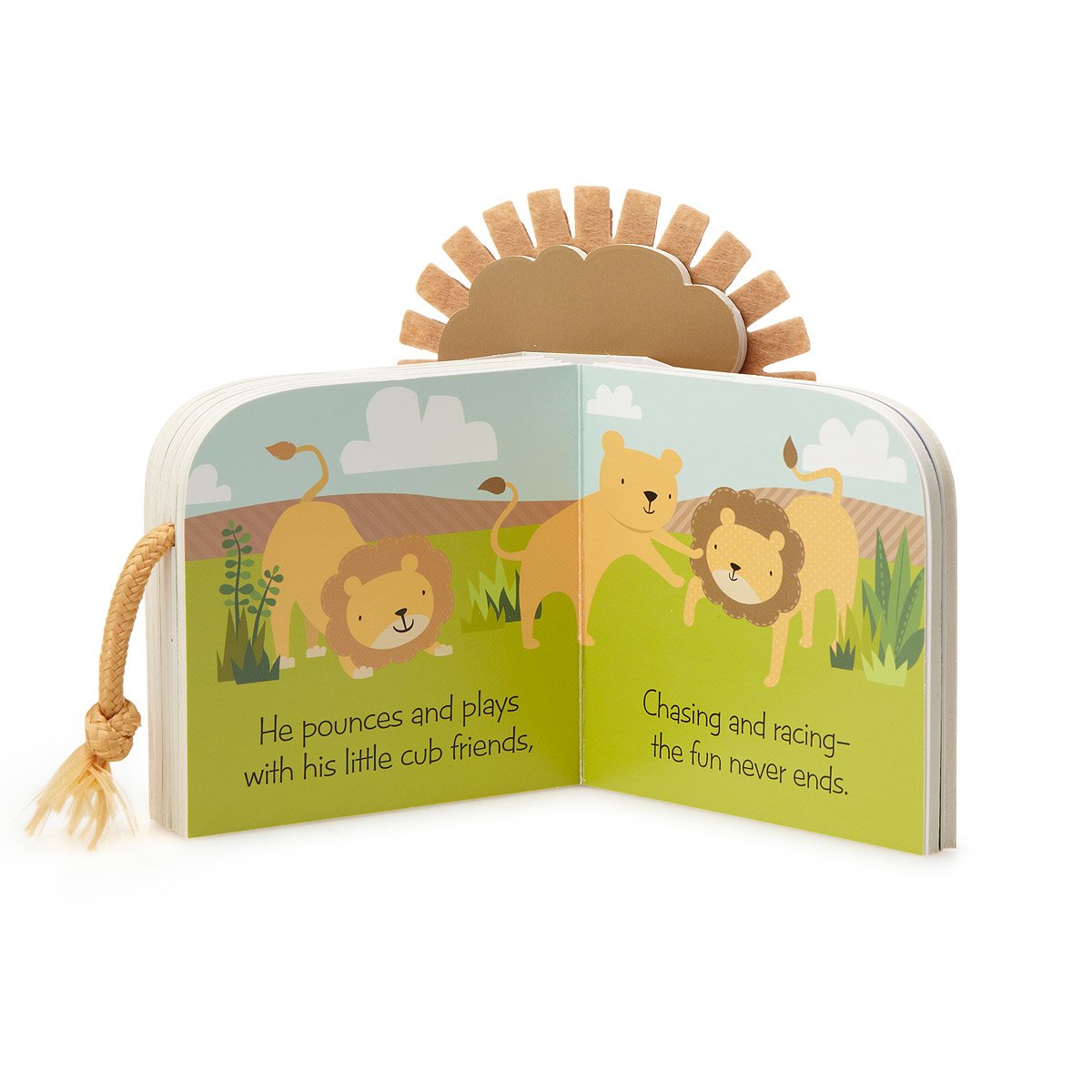 safari animal baby books