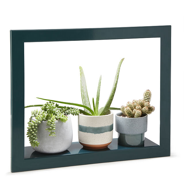 Growlight Frame Shelf Plant Display Uncommon Goods