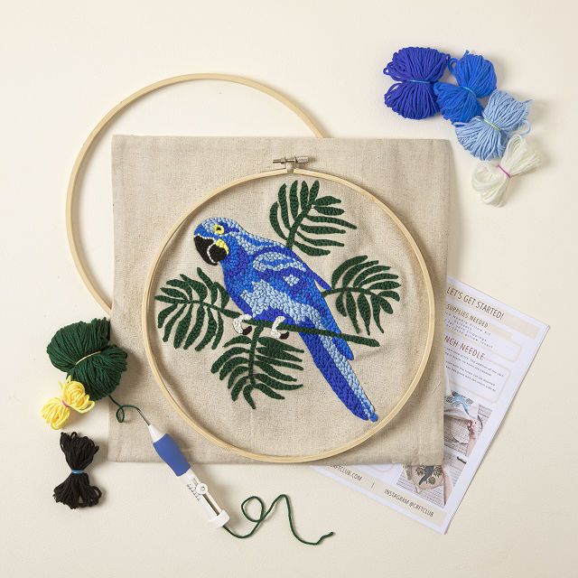 Birth Month Bird Punch Needle Pillow Kit