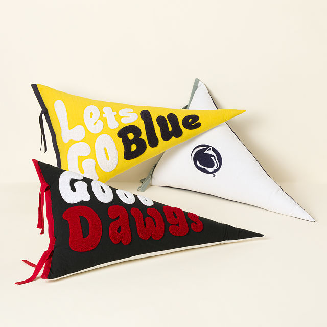 Your College Cheer Pennant Pillow