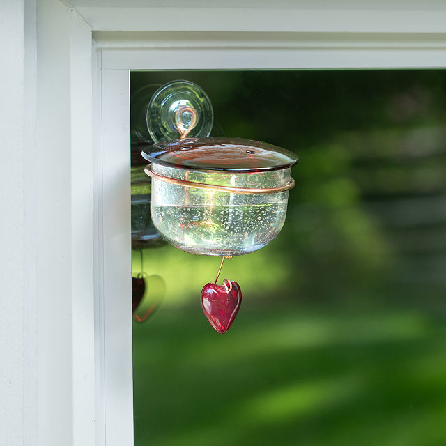 Charmed Hummingbird Window Feeder