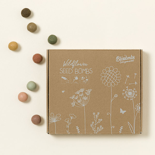 Wildflowers For You Seed Bomb Gift Set