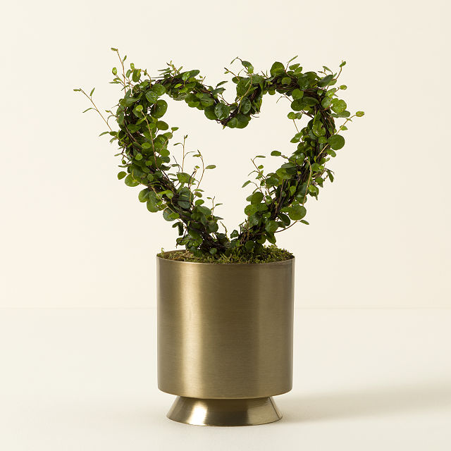 Angel Vine Heart Topiary