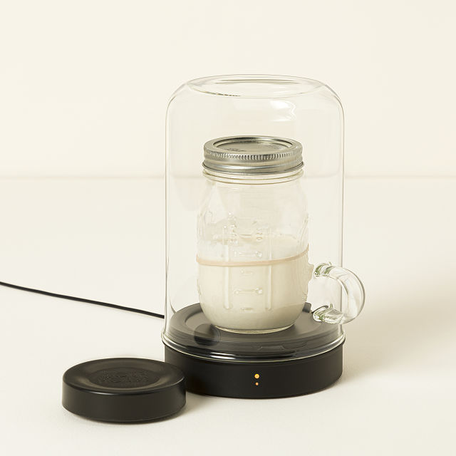 Temperature Controlled Sourdough Starter Device	