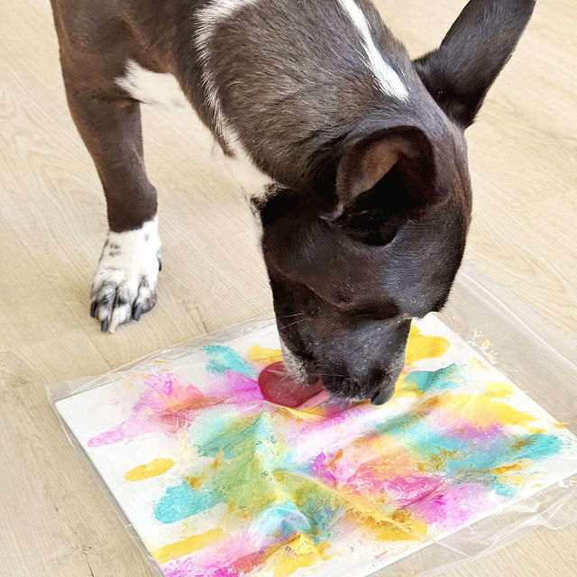 Pawcasso Art Kit for Pets